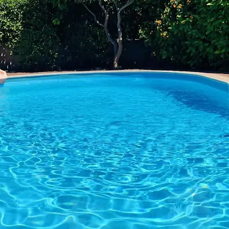 Arslan With Pool Vilă *