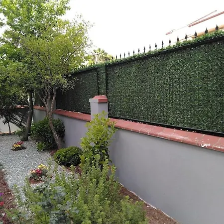 Arslan With Pool فيلة *