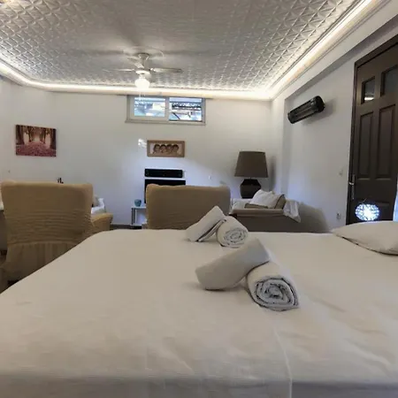 Vilă Arslan With Pool *