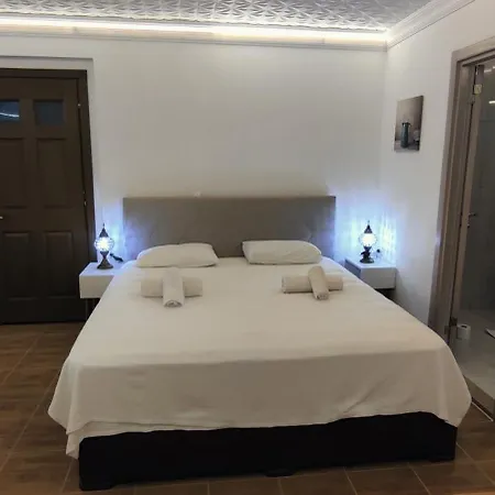 Vilă Arslan With Pool