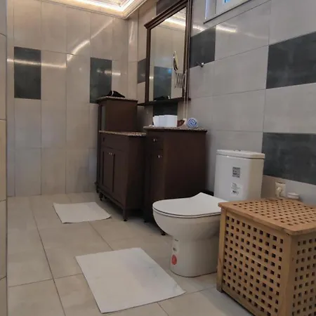 Arslan With Pool Vilă *