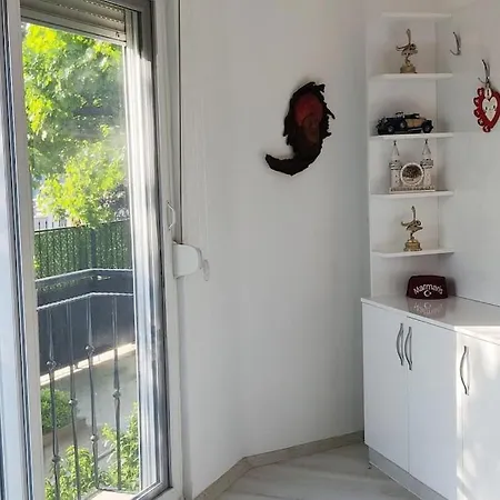 Arslan With Pool Vilă *