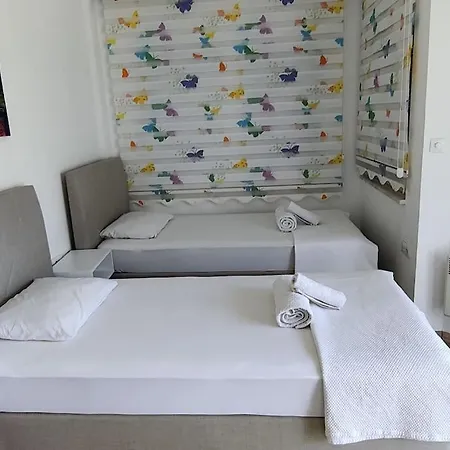 Arslan With Pool Vilă *