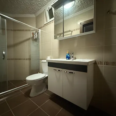 Arslan With Pool Vilă *